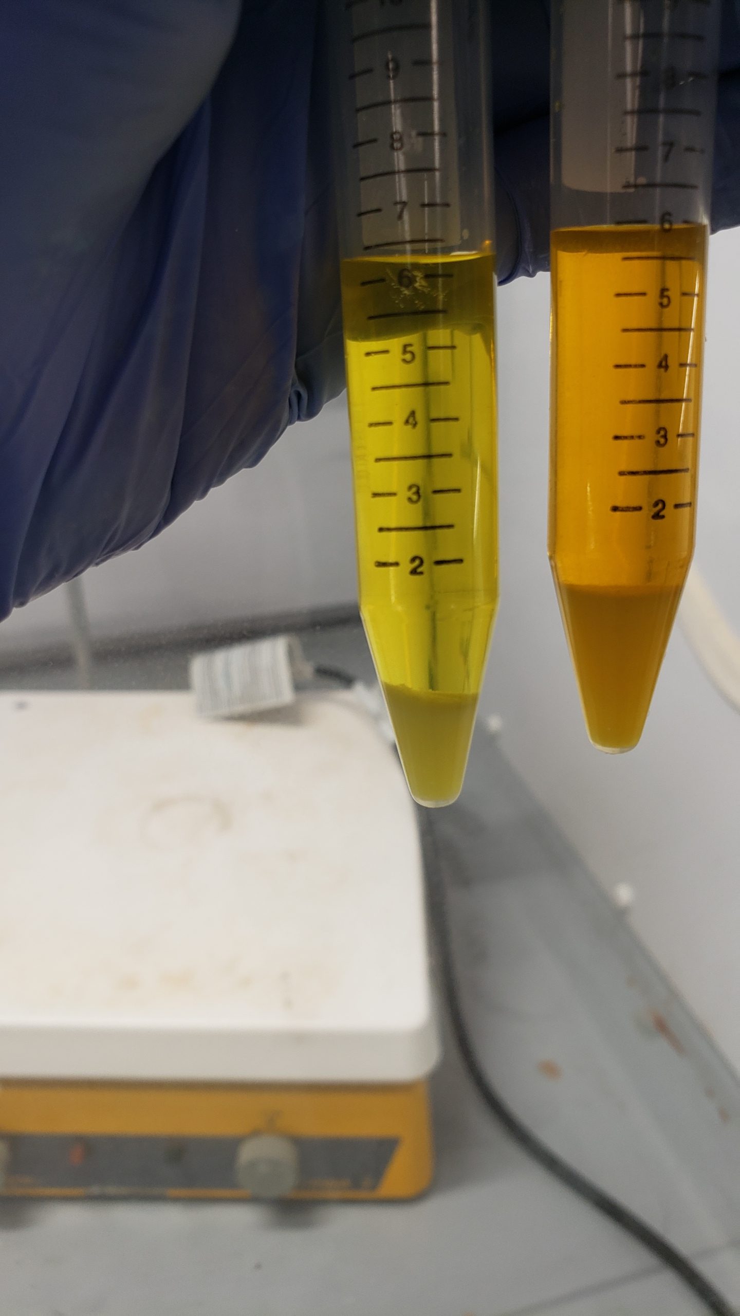 Anorthite Processing CEntre for SElfReplication (CESER) Research