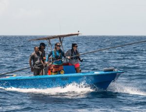Dr. Shane Gero and 3 members of his team on a blue boat in the ocean.