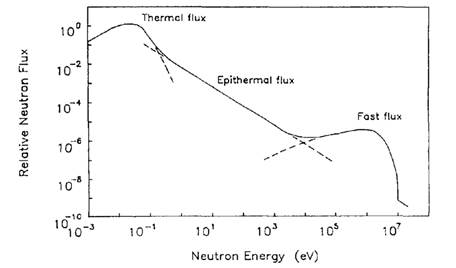 neutron spectrum