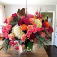 Profile photo of Donna Malone