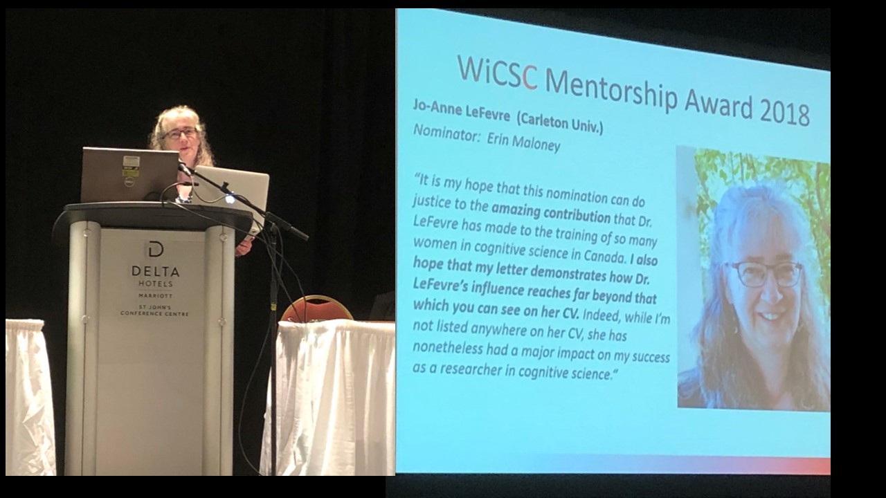 WicSC mentorship Award 2018