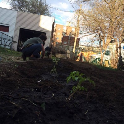 A young man crouches in rich earth, planting rows of vegetables as part of his community garden.