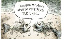 2 fish skeletons with the caption "these plastic microbeads really do help exfoliate your skin..."