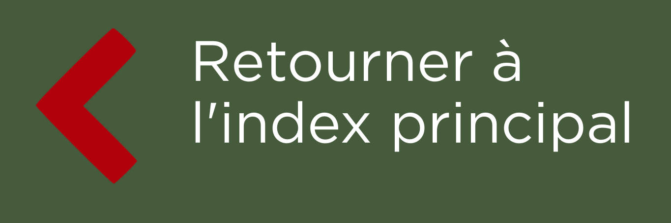 Button - "Retourner a l'index principal"