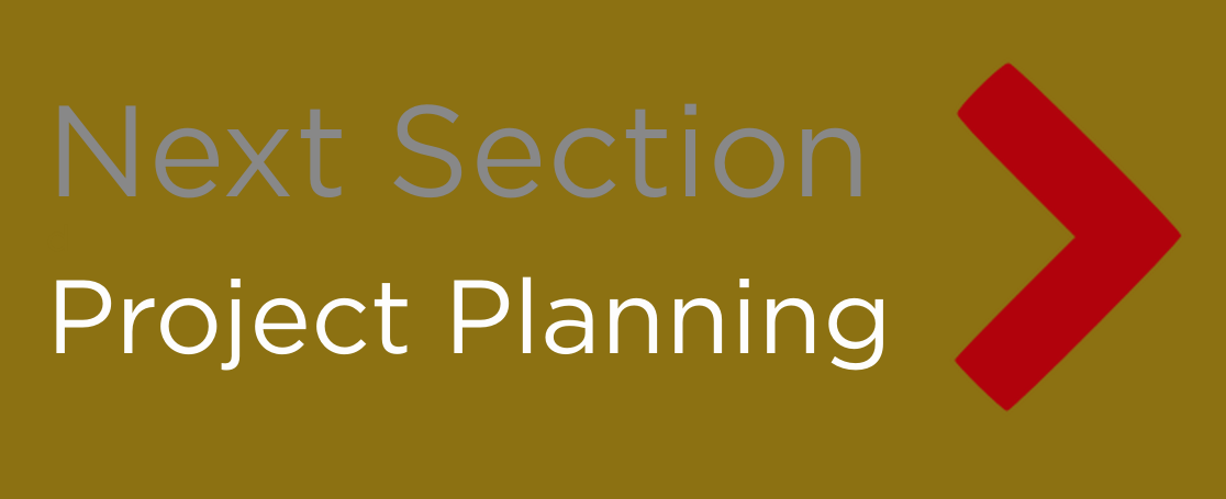 Button - 'Next Section: Project Planning'