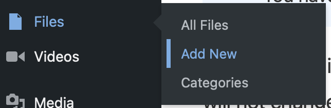 Create a files post