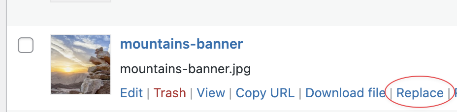 Replace file screenshot