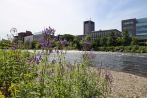 View of Carleton campus from river