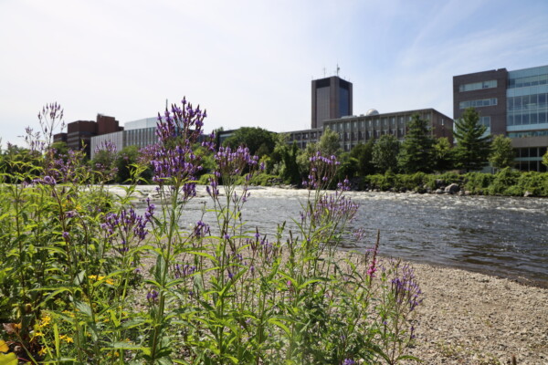 View of Carleton campus from river