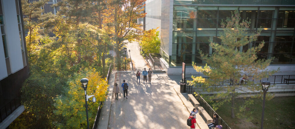 Students on the walkway outside MacOdrum Library and the Quad.