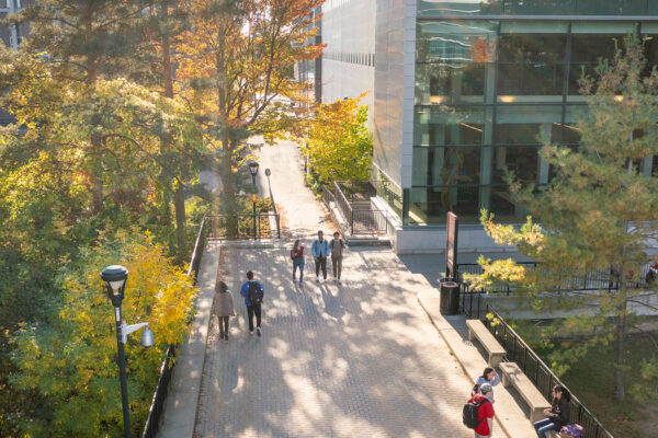 Students on the walkway outside MacOdrum Library and the Quad.