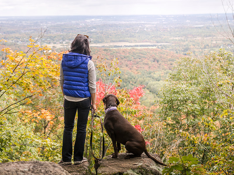 A woman and her dog stand on a peak overlooking Gatieanu Park