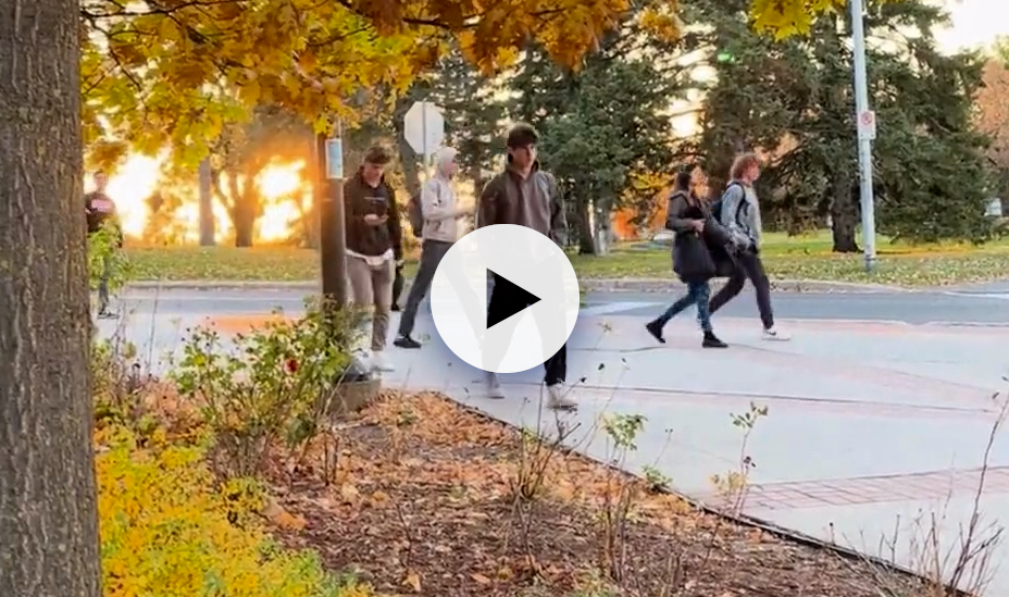 Four students walking on a path.