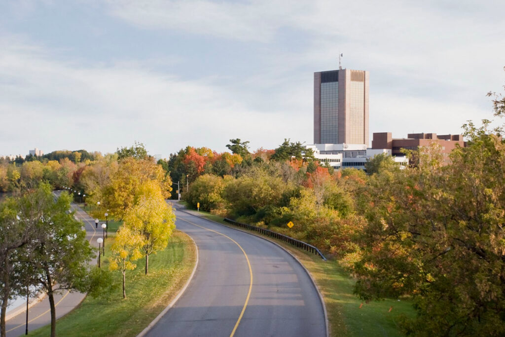 A road surrounded by trees in the fall, with a large office building in the background.