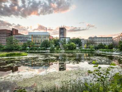 Photo for the news post: Carleton’s New Equity, Diversity and Inclusion Action Plan