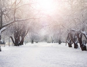 View Quicklink: 12 Days of Winter Safety