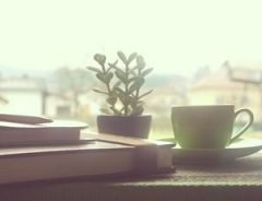 Serene scene with coffee and books