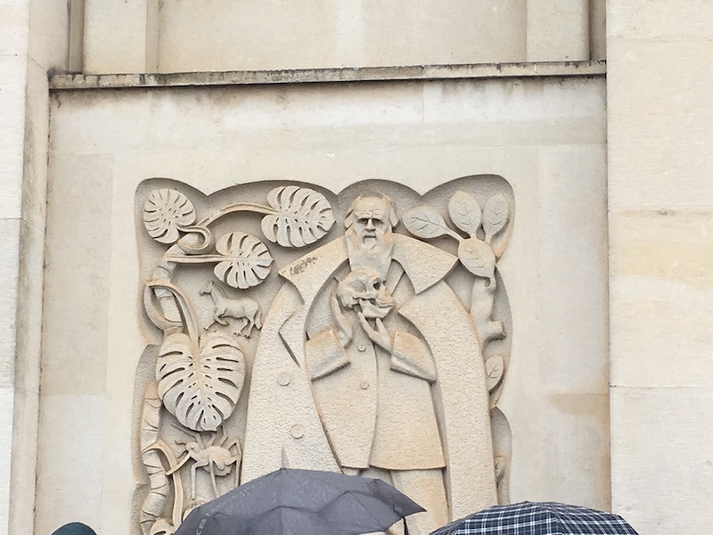 Charles Darwin - Coimbra University