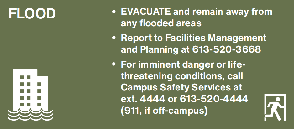 Green background with white text providing immediate actions to take during a flooding incident