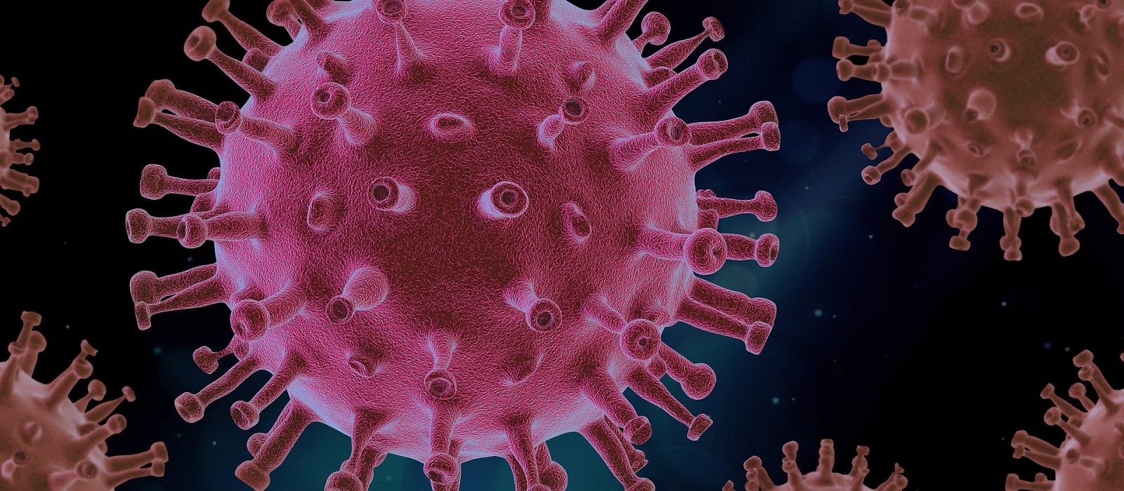 Banner image for Infectious Disease