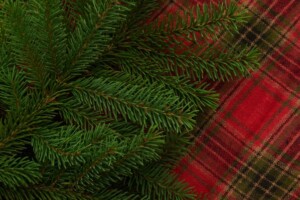 Green garland on red plaid cloth