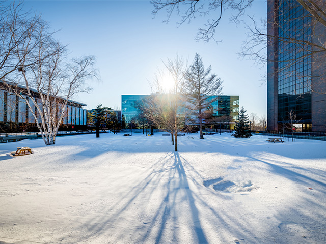 Carleton courtyard during the winter