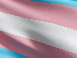 A trans flag