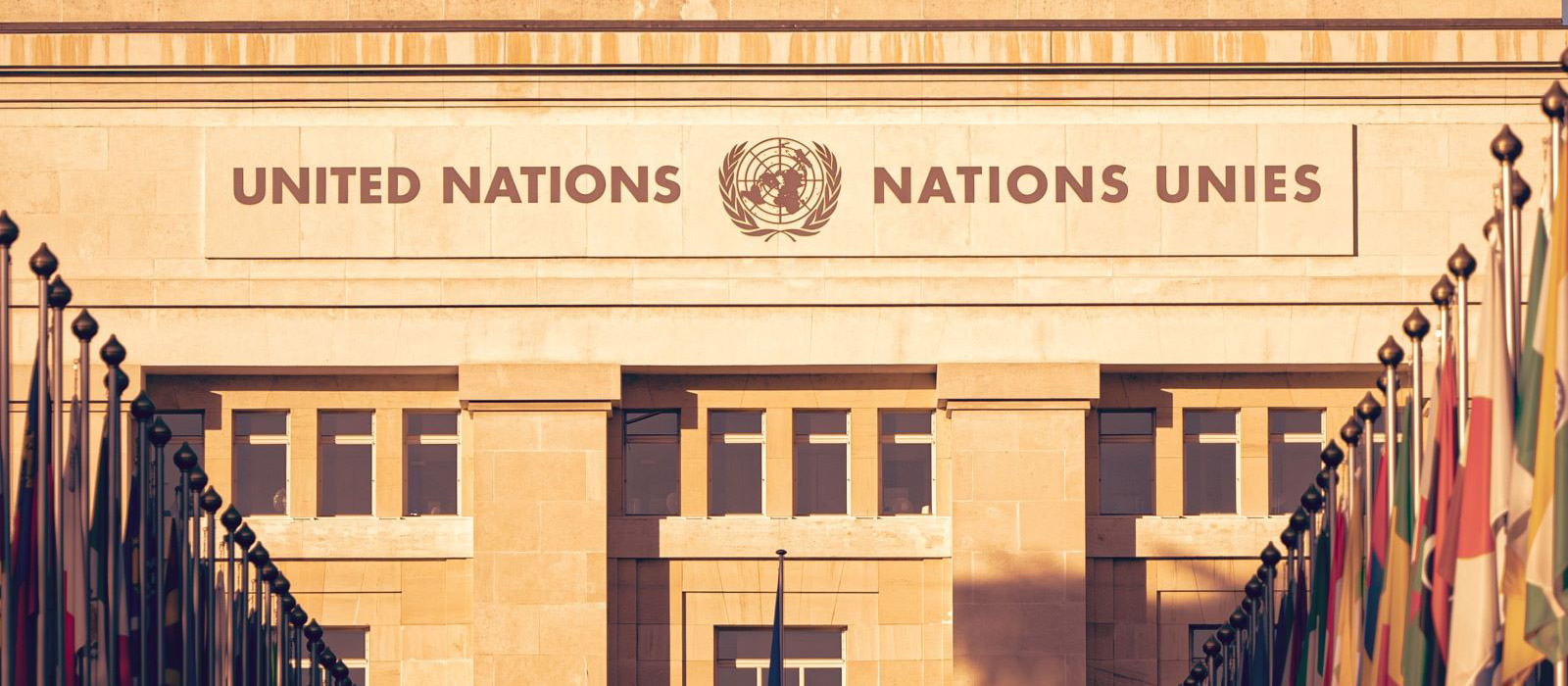 Banner image for The UN and International order