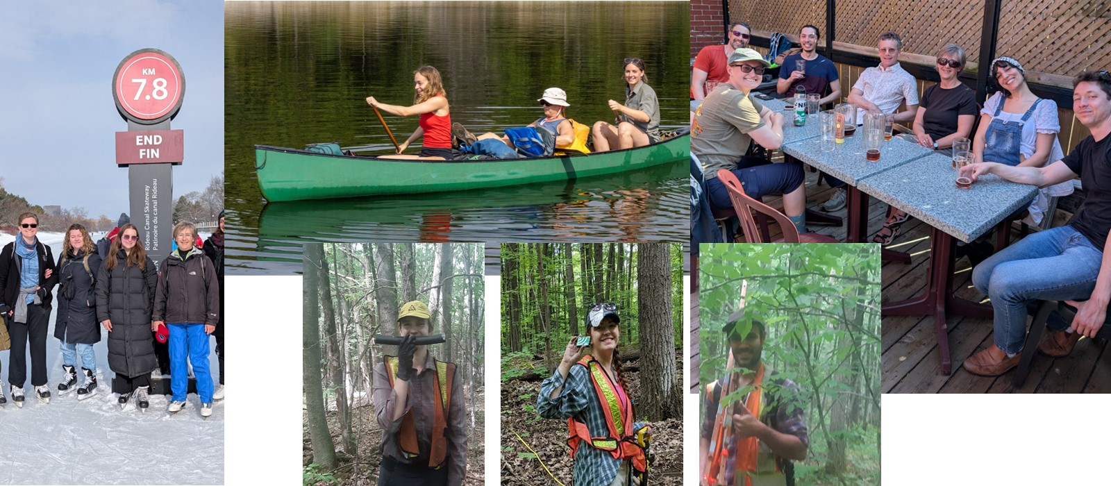 Banner image for Fahrig Lab