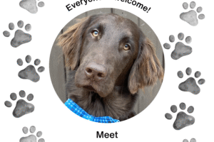 Therapy Dog Session Nov. 14, 2:30 pm