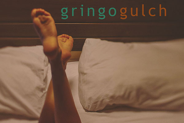 Gringo Gulch Book Cover