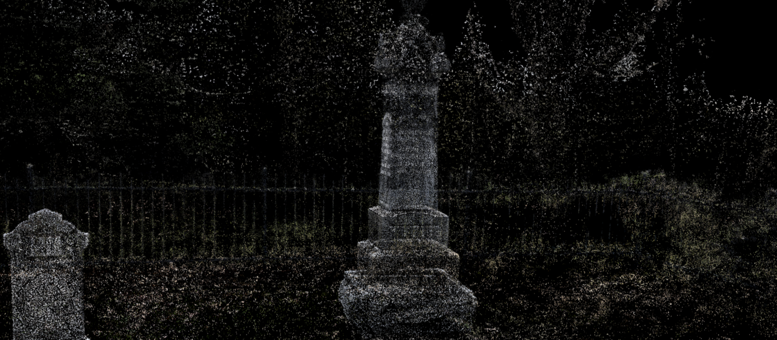 A 3D point cloud from a local cemetery scan by Dr. Shawn Graham.