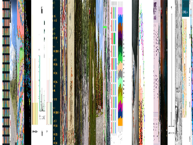 Digital patterns, TV static