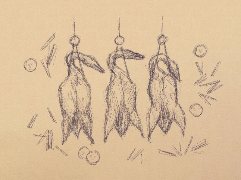 An illustration of three hanging Peking ducks, surrounded by cucumber slices.