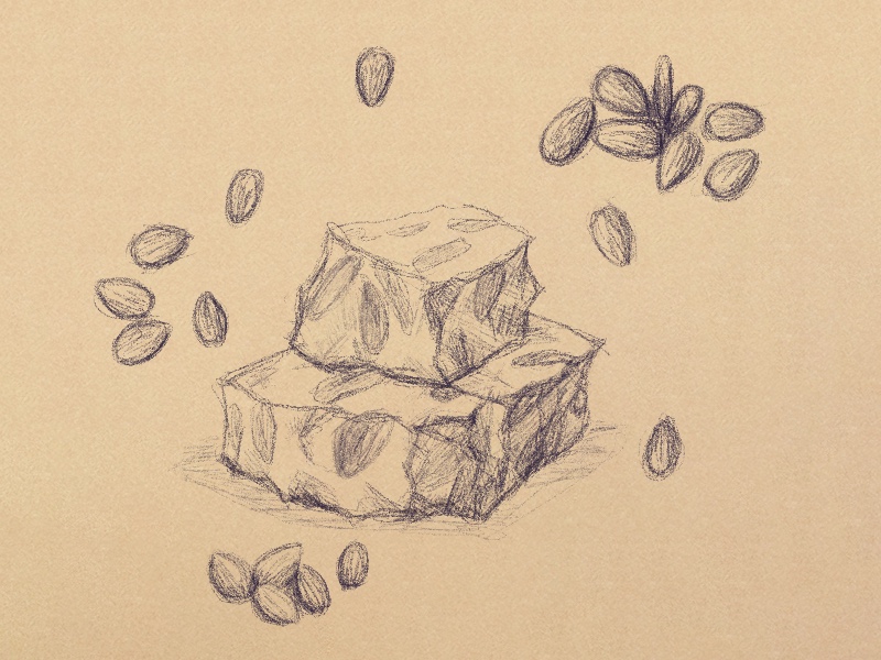 A sketched illustration of two slabs of turron, a nougat-like dessert embedded with almonds. A loose scattering of almonds surround them.