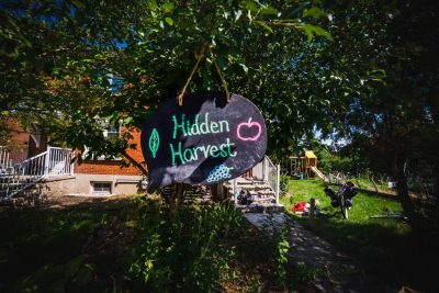 Hidden Harvest's sign, hanging on a tree branch. 