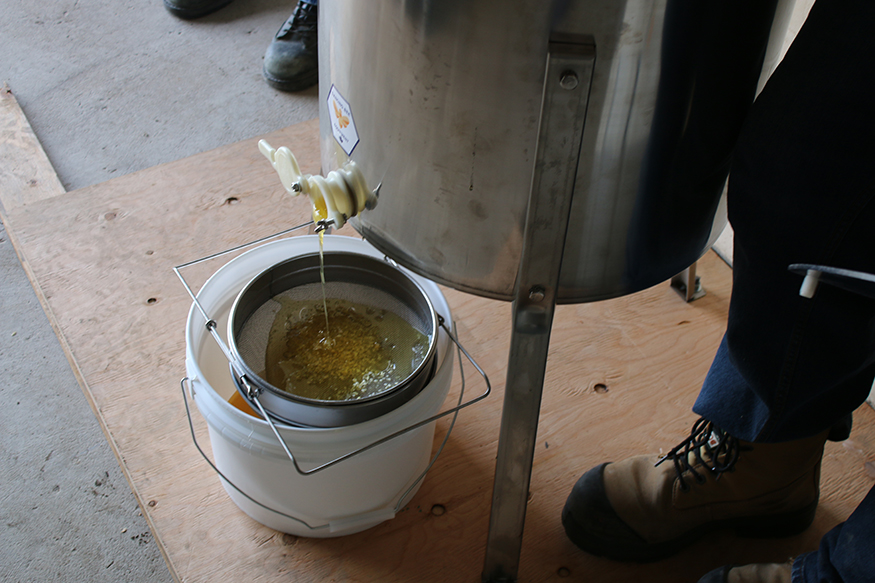 Pressing honey into a can