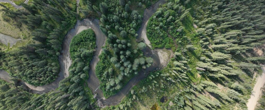 UAV