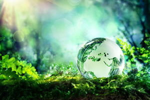 Little ball of water on a field of grass