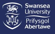Logo: Swansea University
