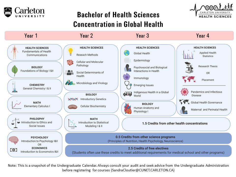 snapshot of the Bachelor of Health Sciences Concentration in Global Health