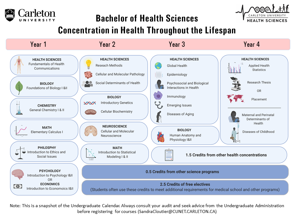 snapshot of the Bachelor of Health Sciences Concentration in Health Throughout the Lifespan