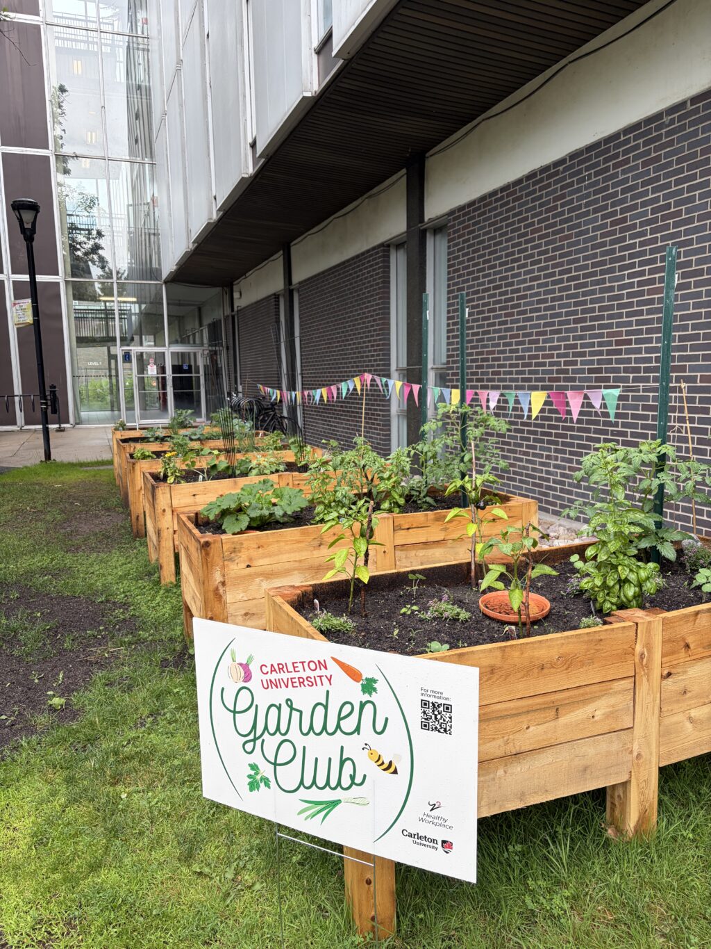 people attending the planting event, helping with planting the garden