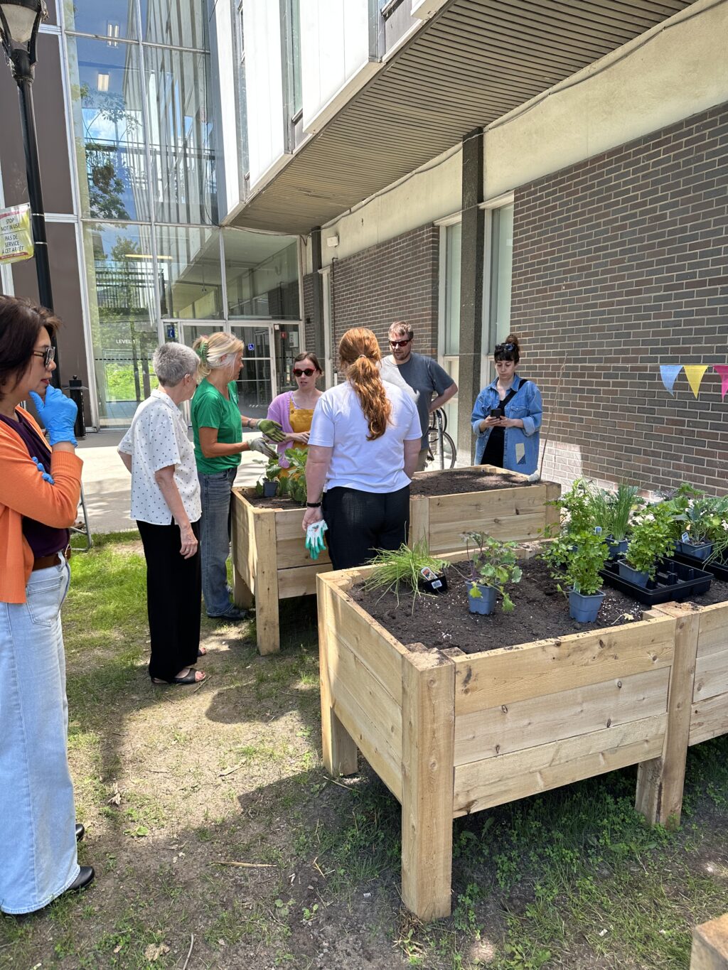 people attending the planting event, helping with planting the garden