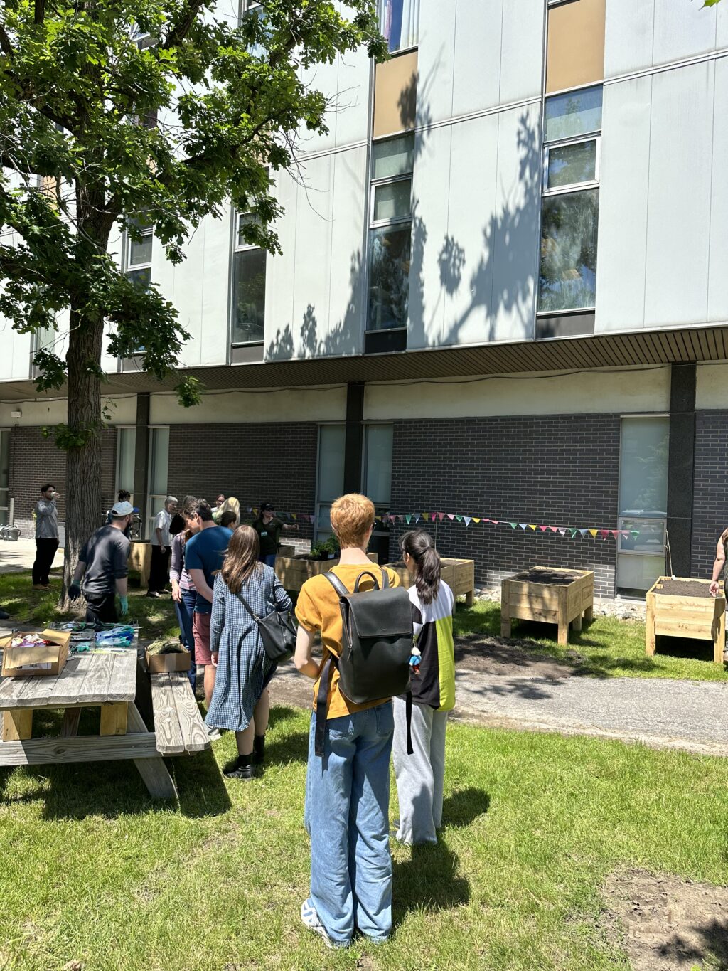 people attending the planting event, helping with planting the garden