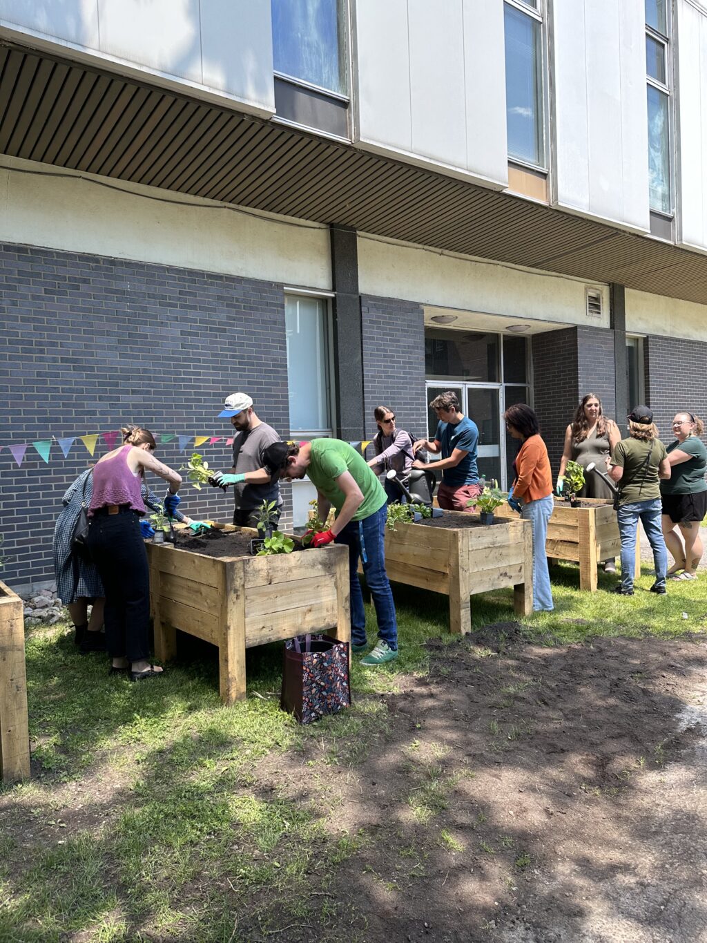 people attending the planting event, helping with planting the garden