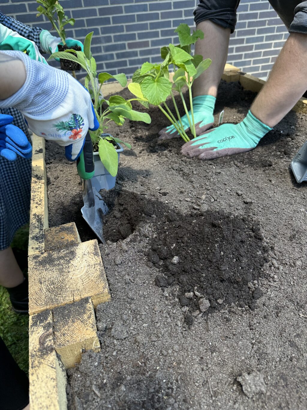 people attending the planting event, helping with planting the garden