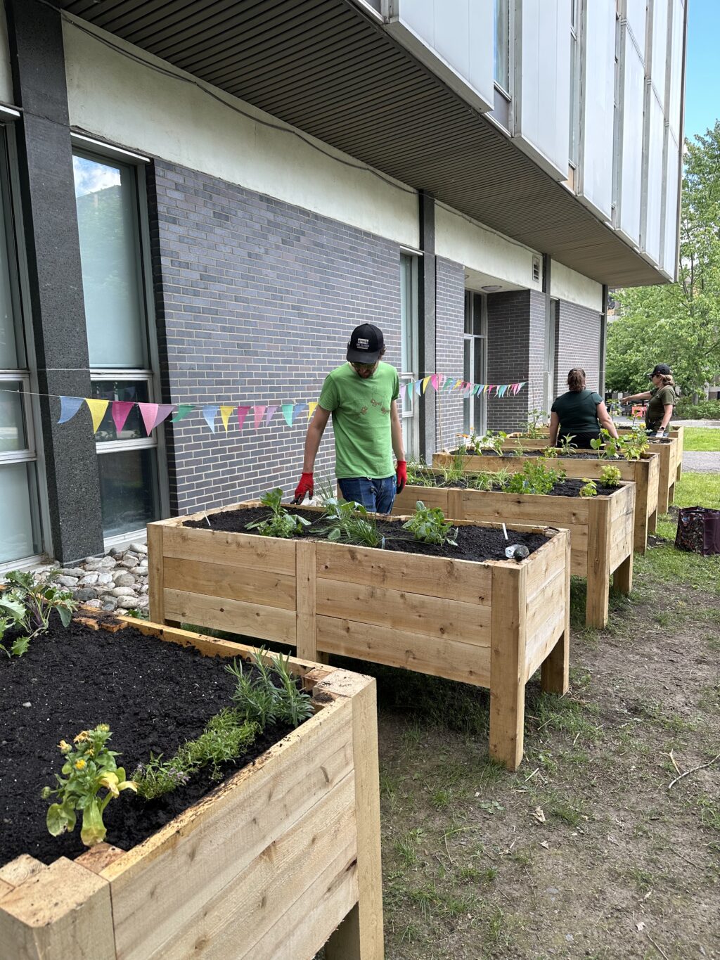 people attending the planting event, helping with planting the garden