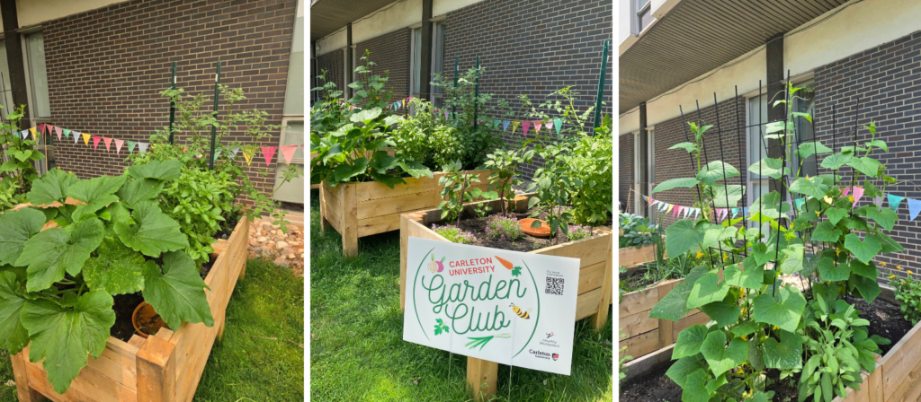 photos of garden in taken throughout July 2026