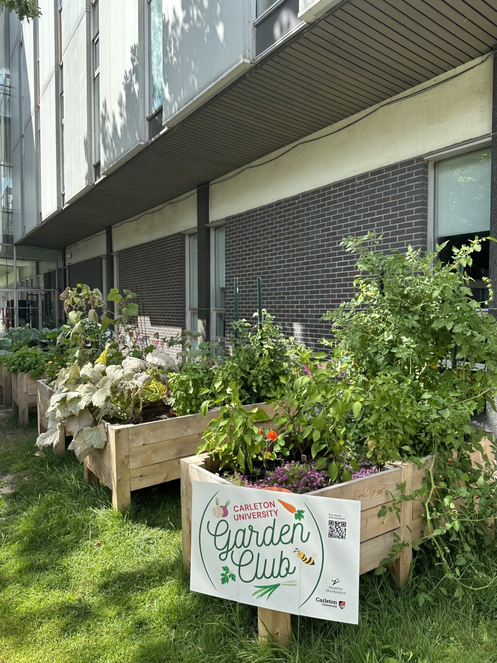photo of the garden space